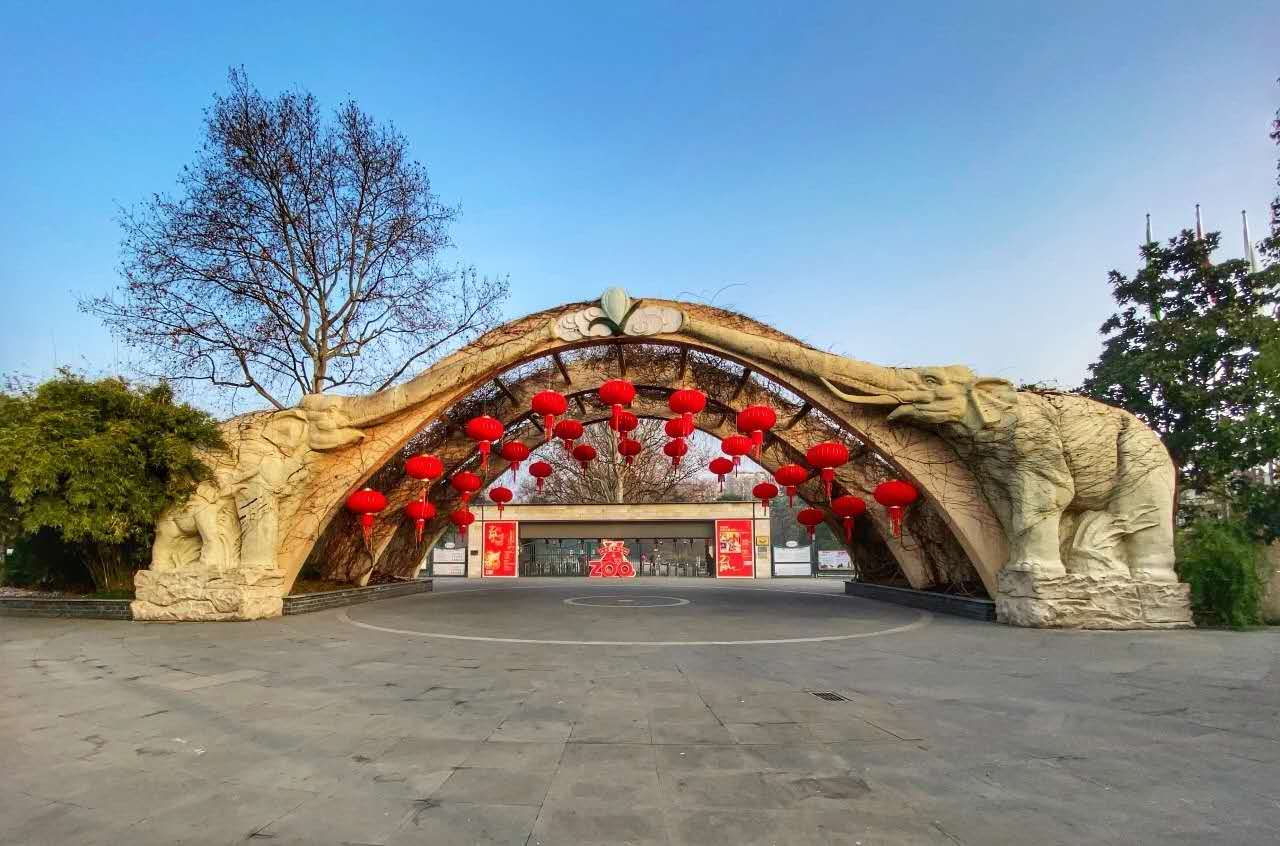 上海游玩攻略 上海动物园 低音号旅游|天鹅湖|上海动物园|野生动物_新