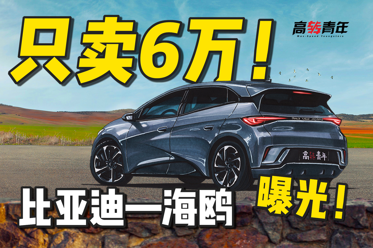 曝光！比亚迪海鸥！又帅又便宜！纯电、只要6万！-新浪汽车