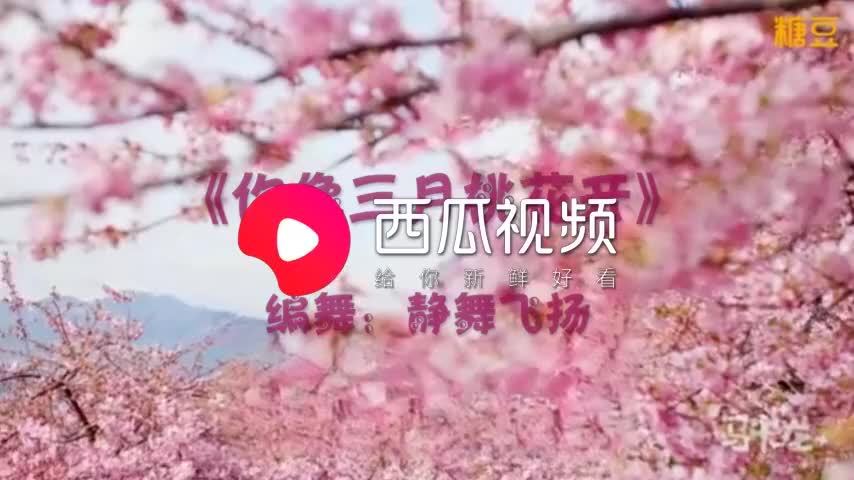 歌甜舞美 你像三月桃花开 丝丝缕缕美醉了心怀团队版