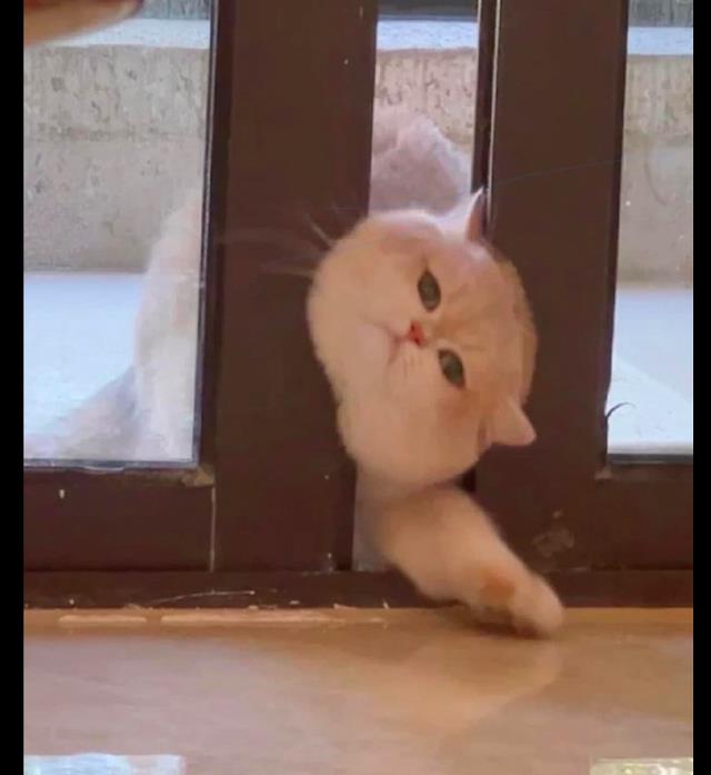 36厘米粗钻头捅漏淡水湖 130亿升湖水瞬间干涸真相