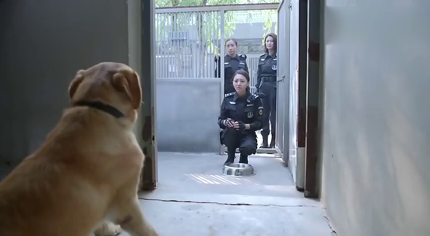 警花与警犬:樱桃满脸忧郁,什么都愿意不吃,队长说出了真相