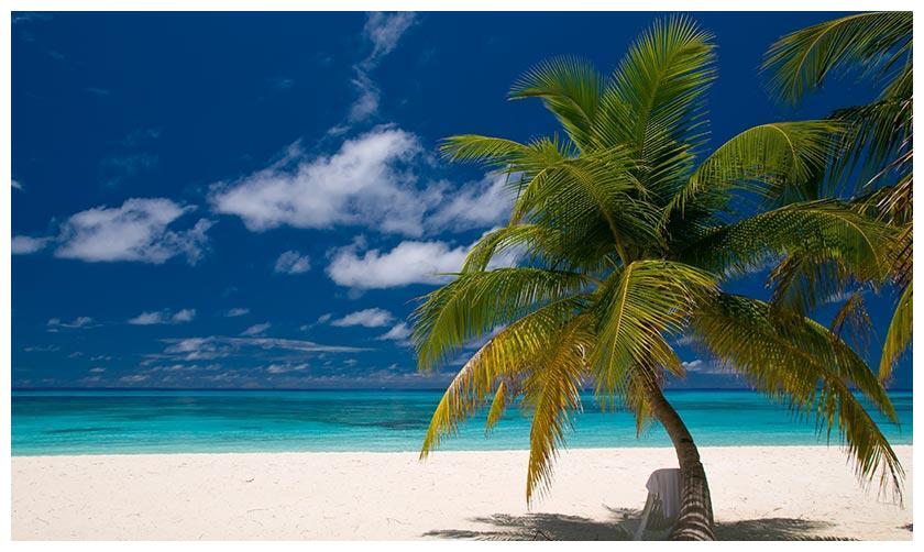 才智过人 而且主意非常多的几个星座 没有人能比得过