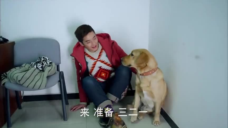 神犬小七:艾亮和小七当场办婚礼玩,耍嘴皮子