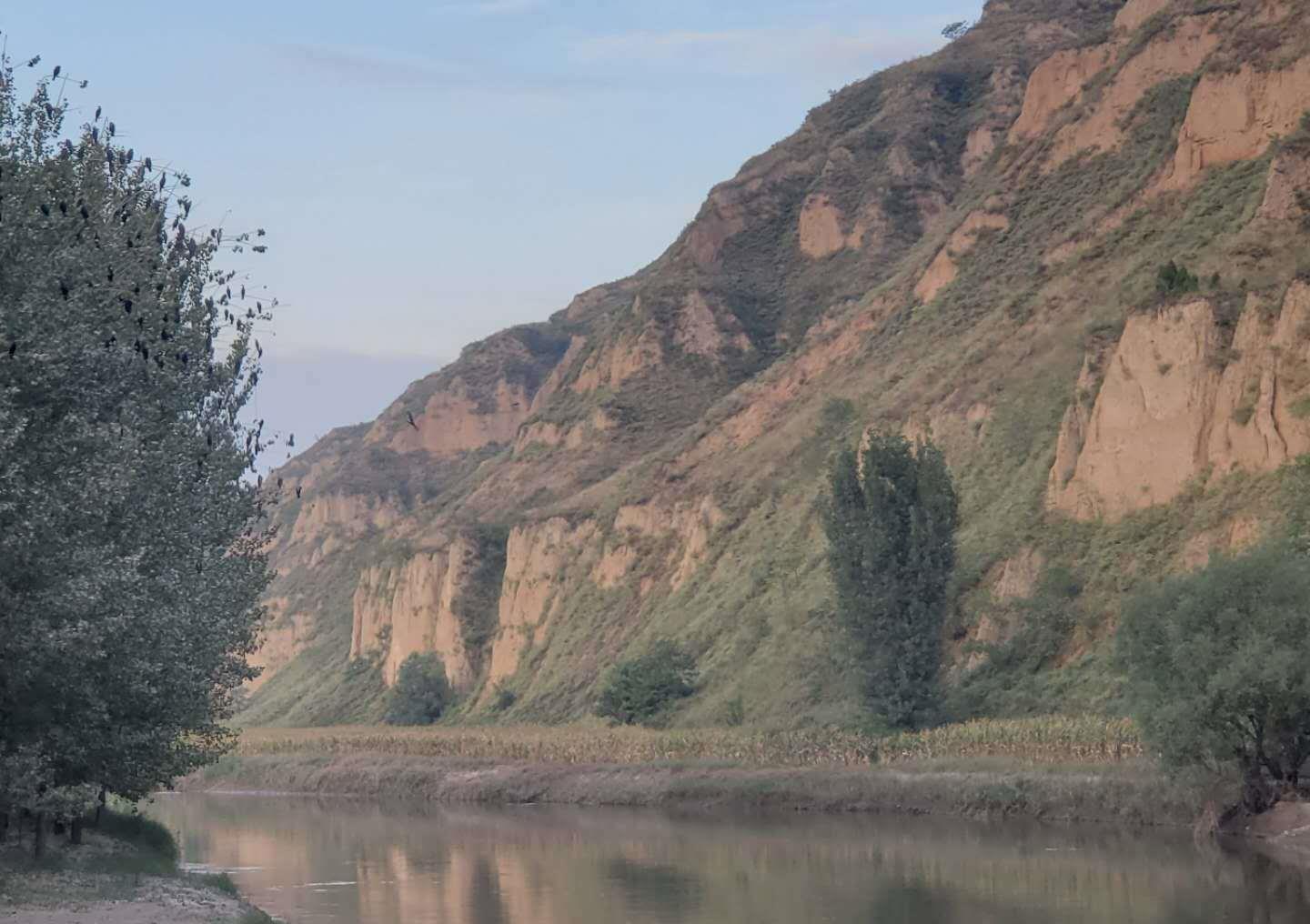 河津黄河滩 绿野碧连天 万物吐芳华 一览天地宽