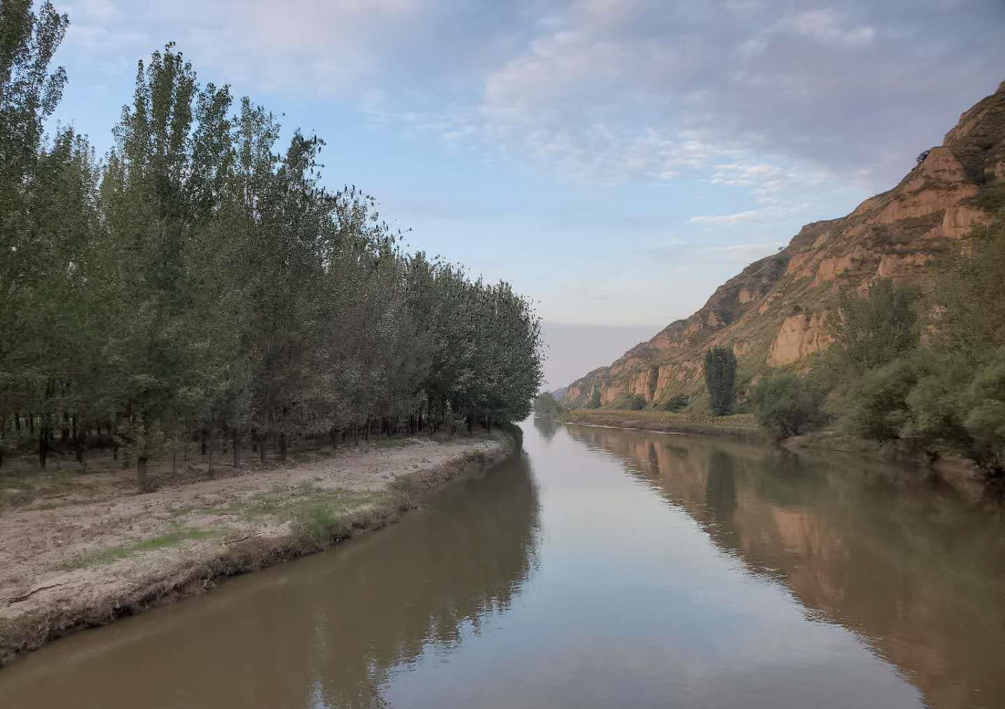 河津黄河滩绿野碧连天万物吐芳华一览天地宽