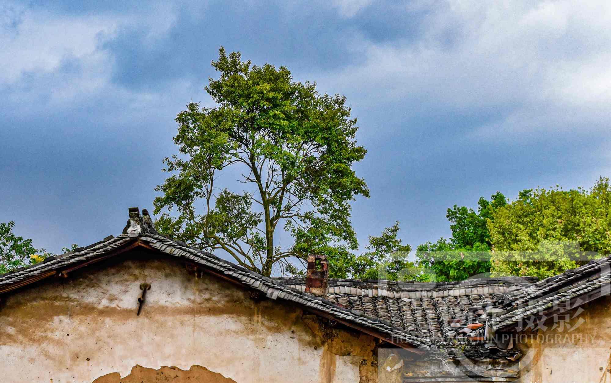 赣州章贡区七里镇,历史悠久古建筑50多栋,毗邻贡江景象很熟悉