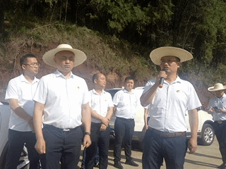 破茧成蝶后怎样绽放？南充嘉陵的龙蟠这个动作背后包裹着啥名堂…休闲区蓝鸢梦想 - Www.slyday.coM