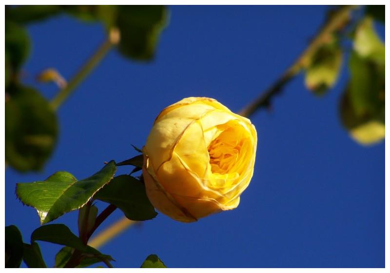 2月 爱情发芽 细心浇灌 开出甜蜜果实 美好重现的4大星座 财经头条 2月 爱情发芽 细心浇灌 开出甜蜜果实 美好重现的4大星座 财经头条