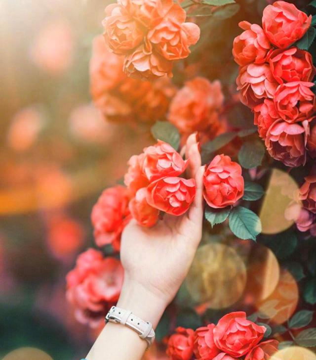 天秤座：你是此间星辰，不慎落入凡尘，却是我的十丈软红尘休闲区蓝鸢梦想 - Www.slyday.coM