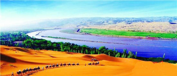 宁夏银川杨德敏：八年汗水荒滩变耕地坚守梦想斗志永不移