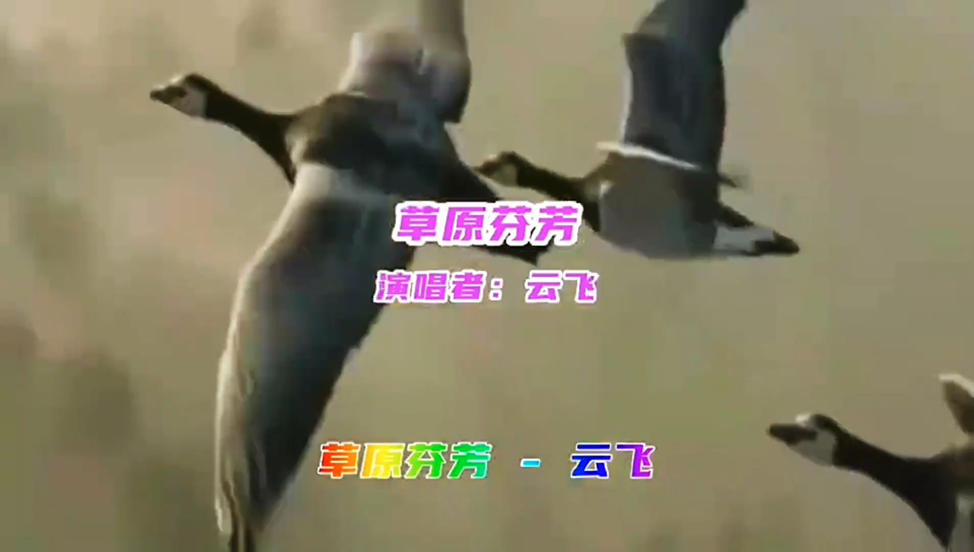 草原情歌王子云飞演唱的歌曲《草原芬芳》，优美动听，听醉了