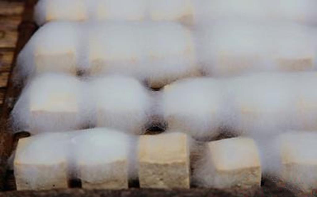 一种长满白毛的吃食