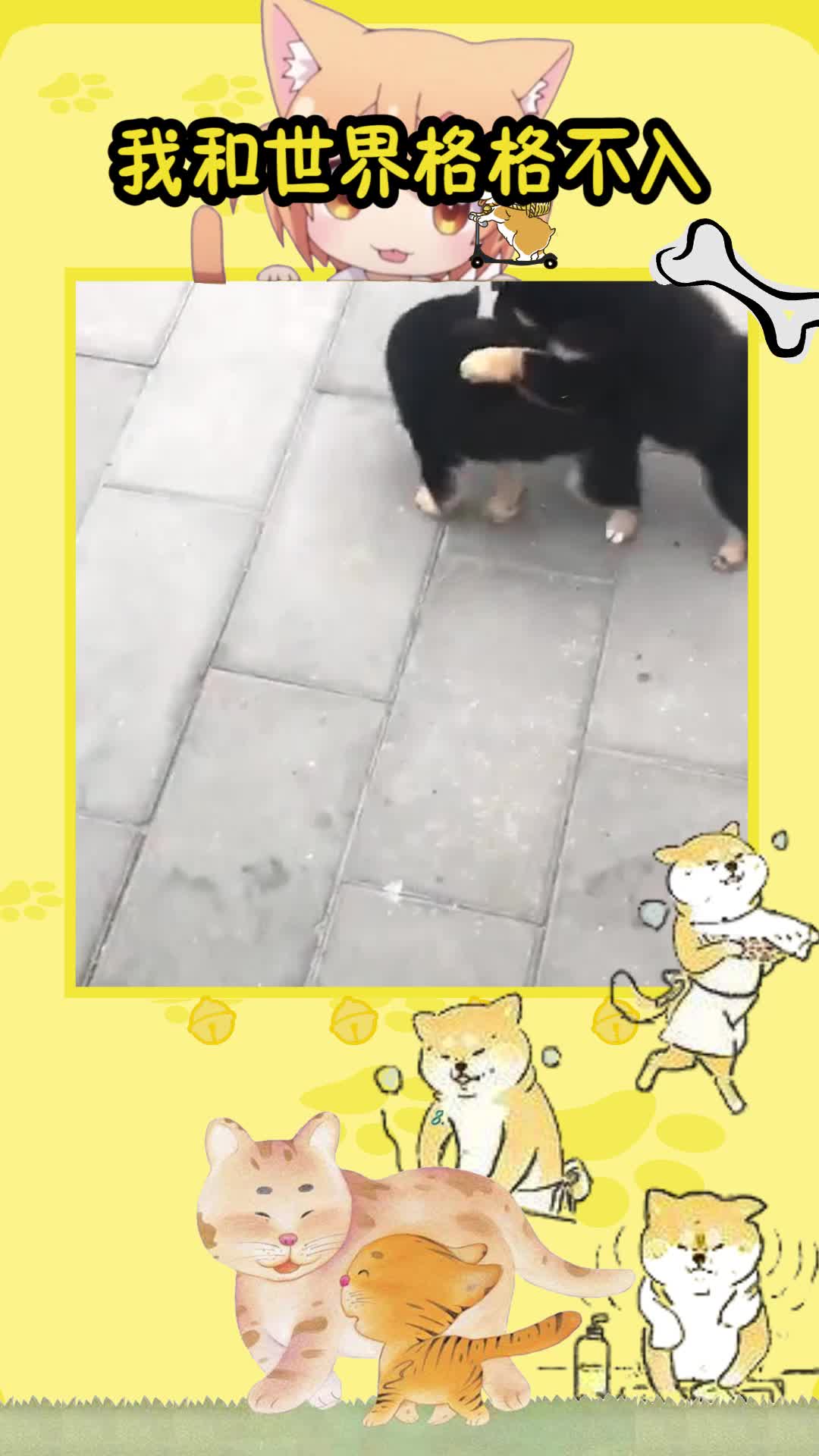 我和这个世界格格不入_新浪新闻