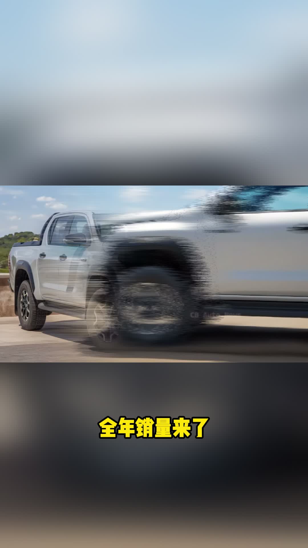 2025南非<em>皮卡</em>销量