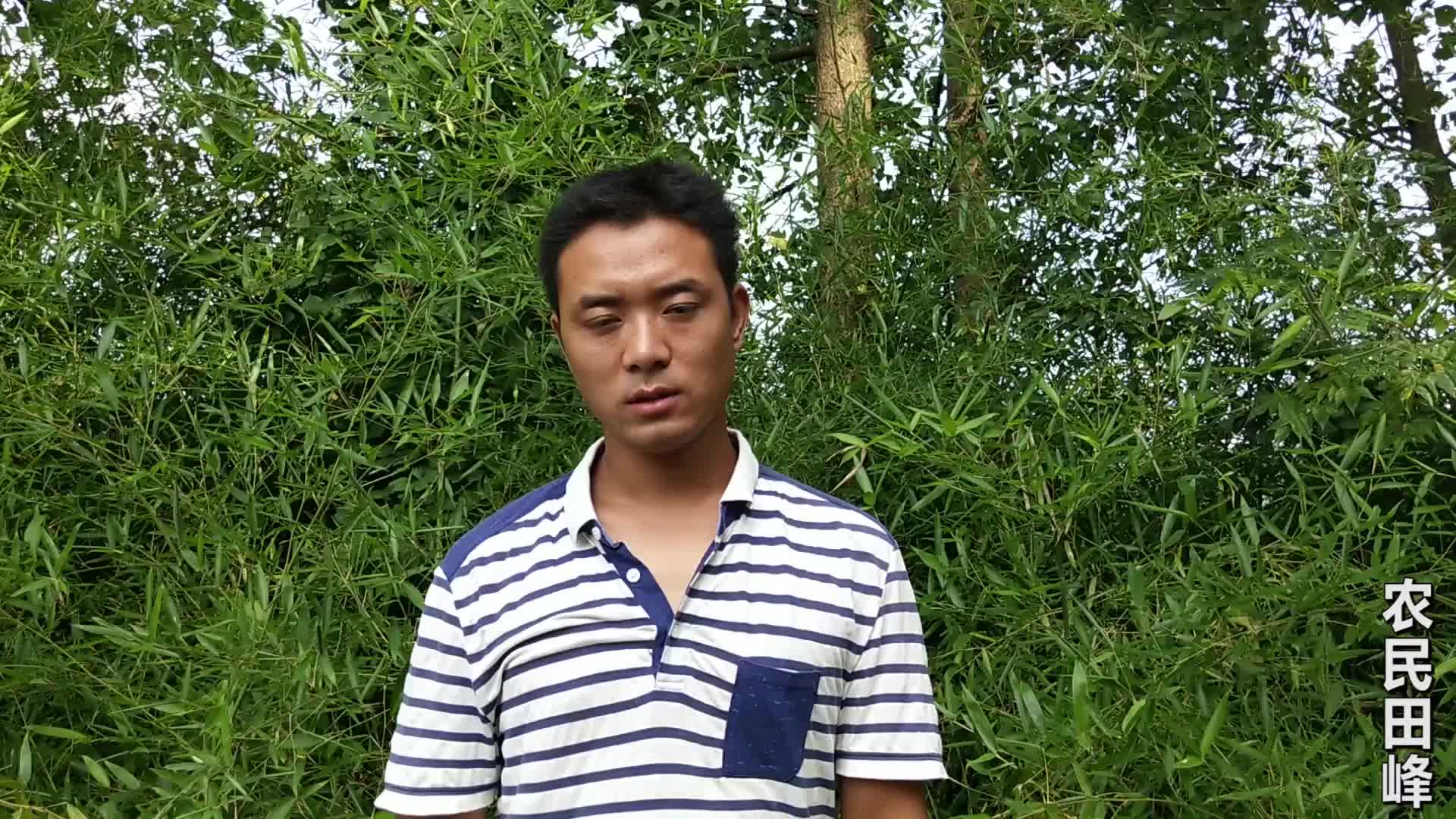 农村40岁大叔,为何选择不结婚独自一人生活?听听大叔咋说的