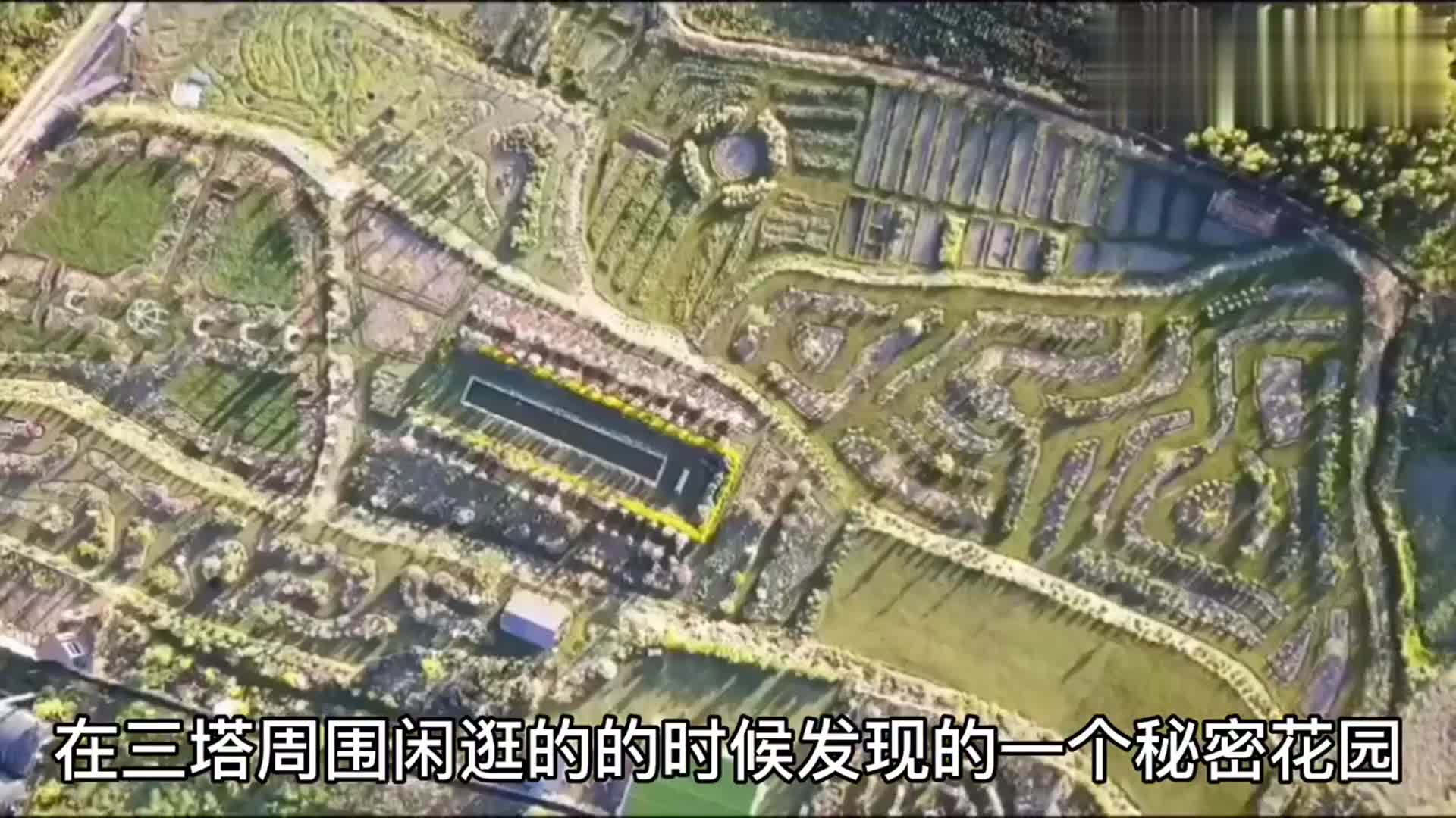 大理猫米花园 此刻我感受到的是幸福和浪漫 值得打卡