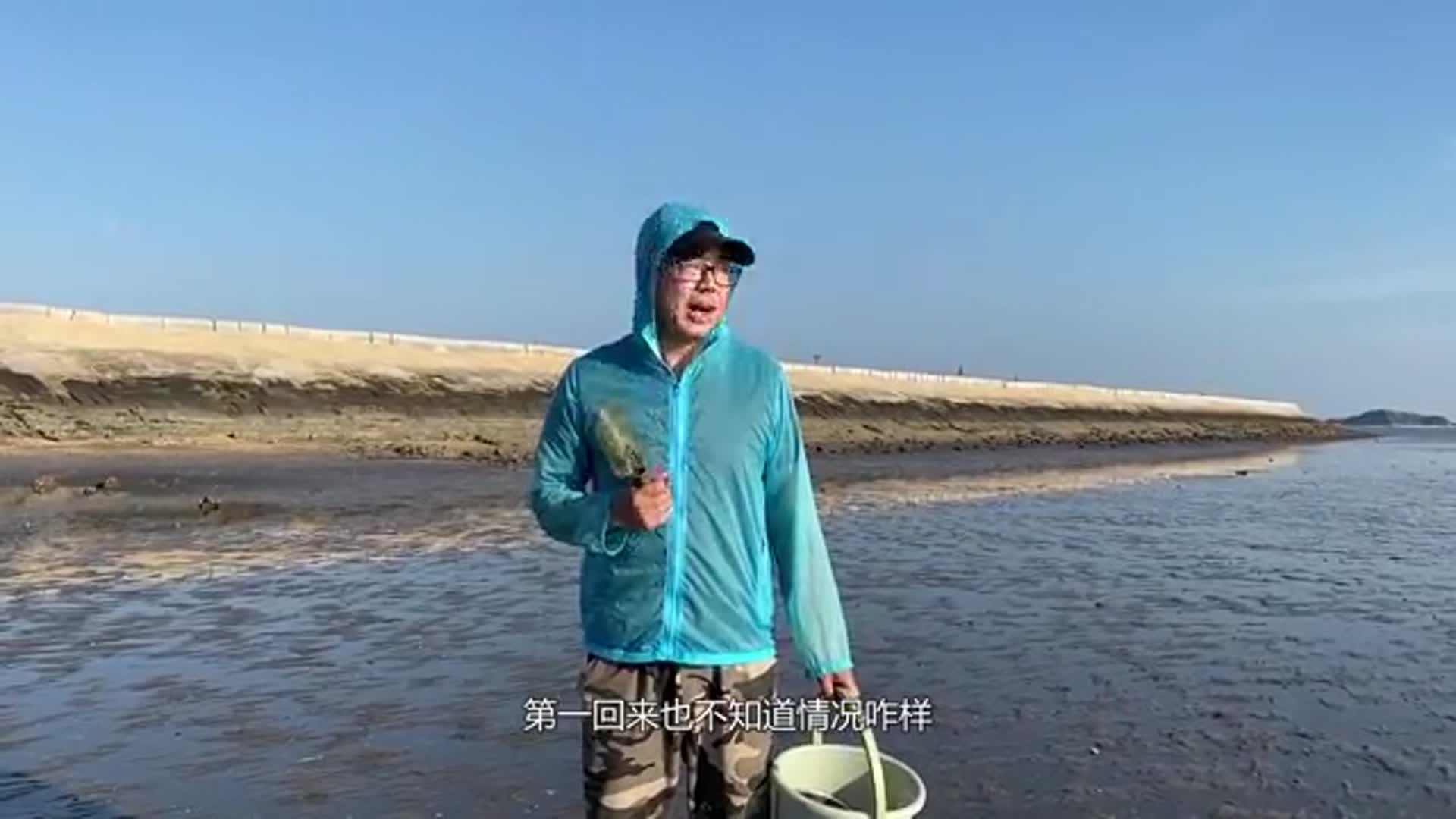 小马发现赶海宝地滩涂上有很多海葵随便挖