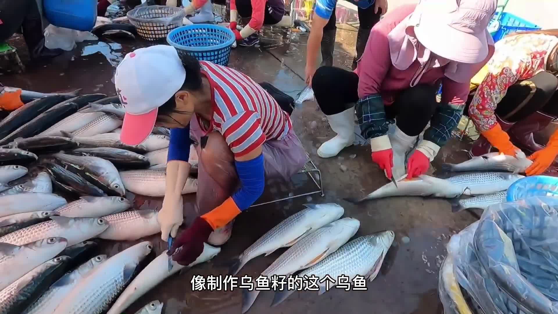 出口日本的珍馐美味-乌鱼子（乌鲻鱼籽）|美食|实拍|vlog_新浪新闻