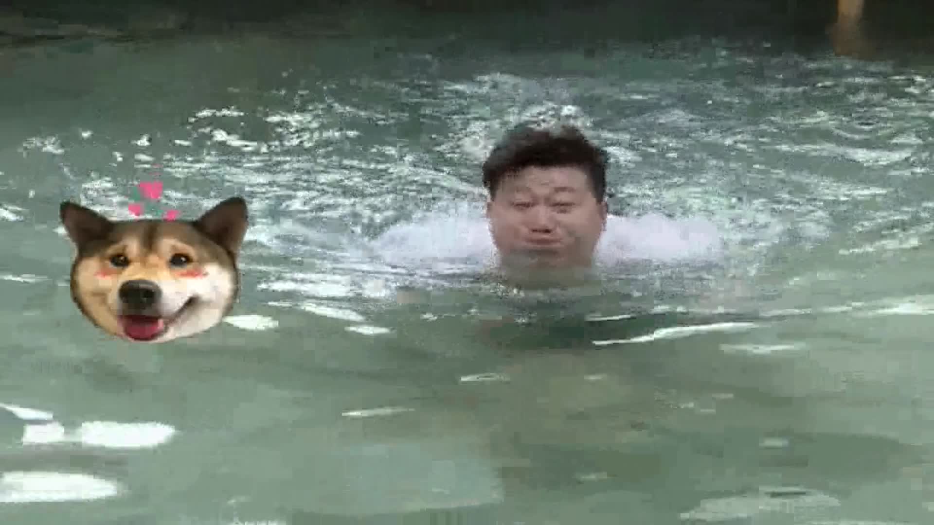 张鹤伦狗刨式游泳