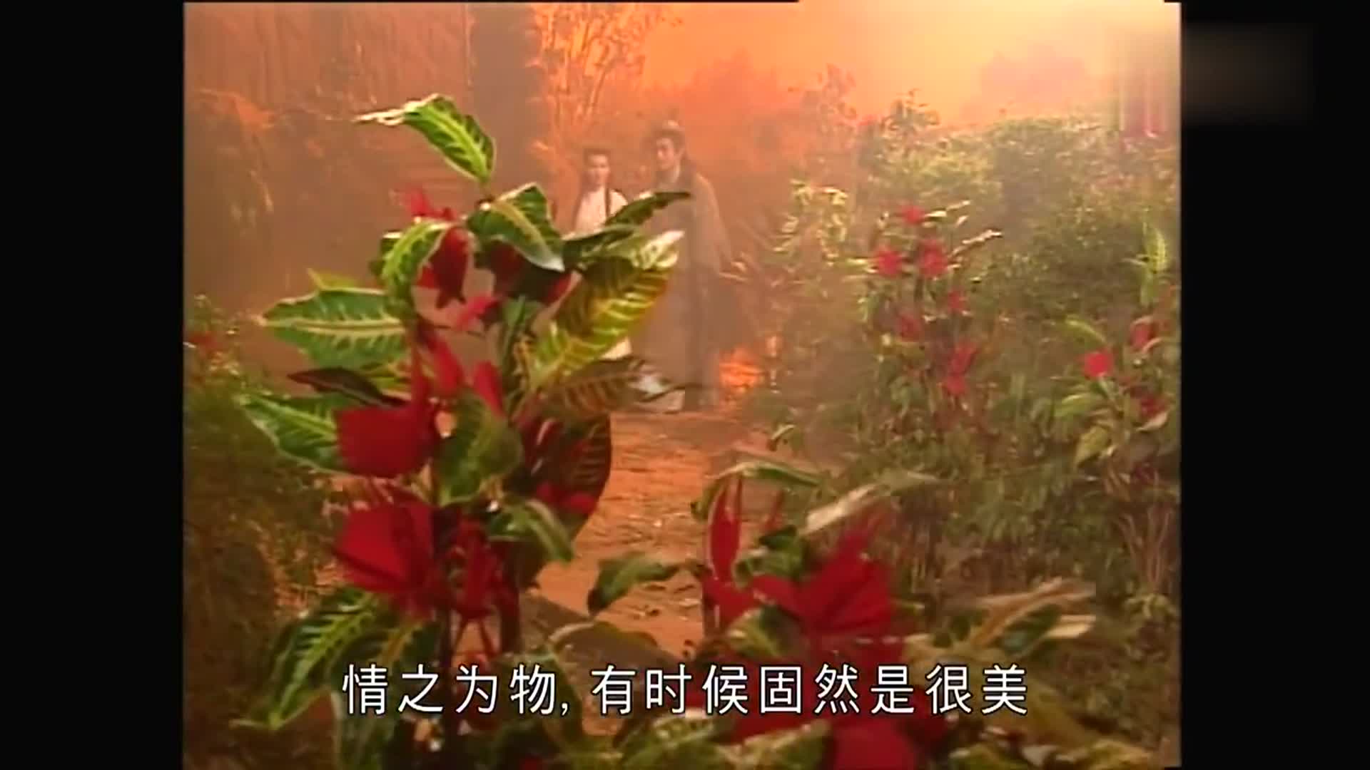 神雕侠侣杨过情花剧毒发作能与姑姑在一起死又何妨