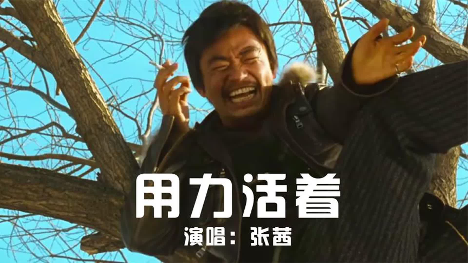 张茜《用力活着》完整版，现实的歌词，唱出了对生活的无奈与心酸|王宝强_新浪新闻
