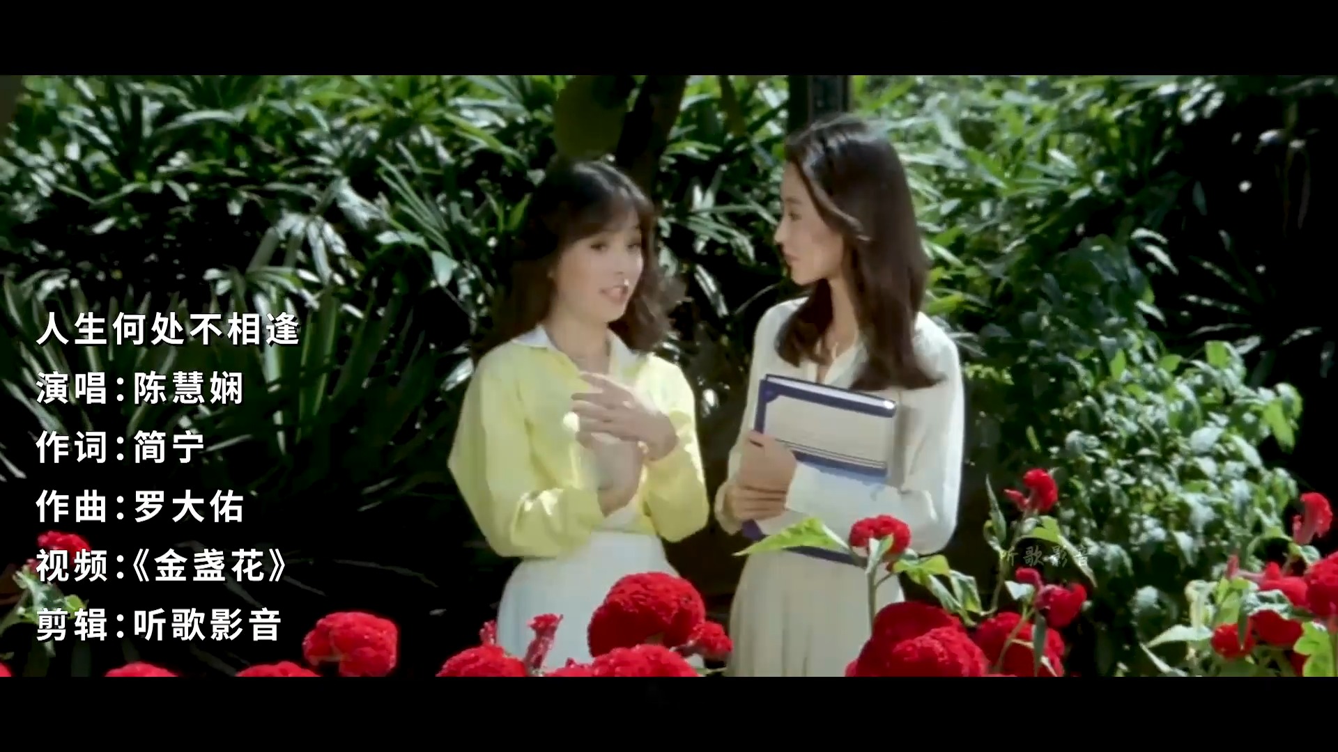 陈慧娴这首《人生何处不相逢》，配上年轻时的林青霞，勾起回忆