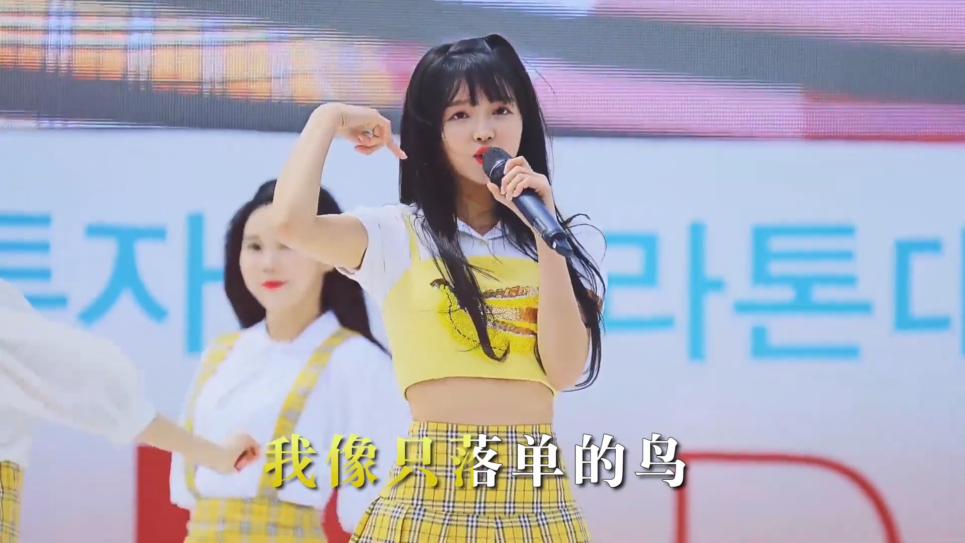 小鱼儿《乘风破浪向你飘》DJ版，最新网络流行歌曲，节奏感超强