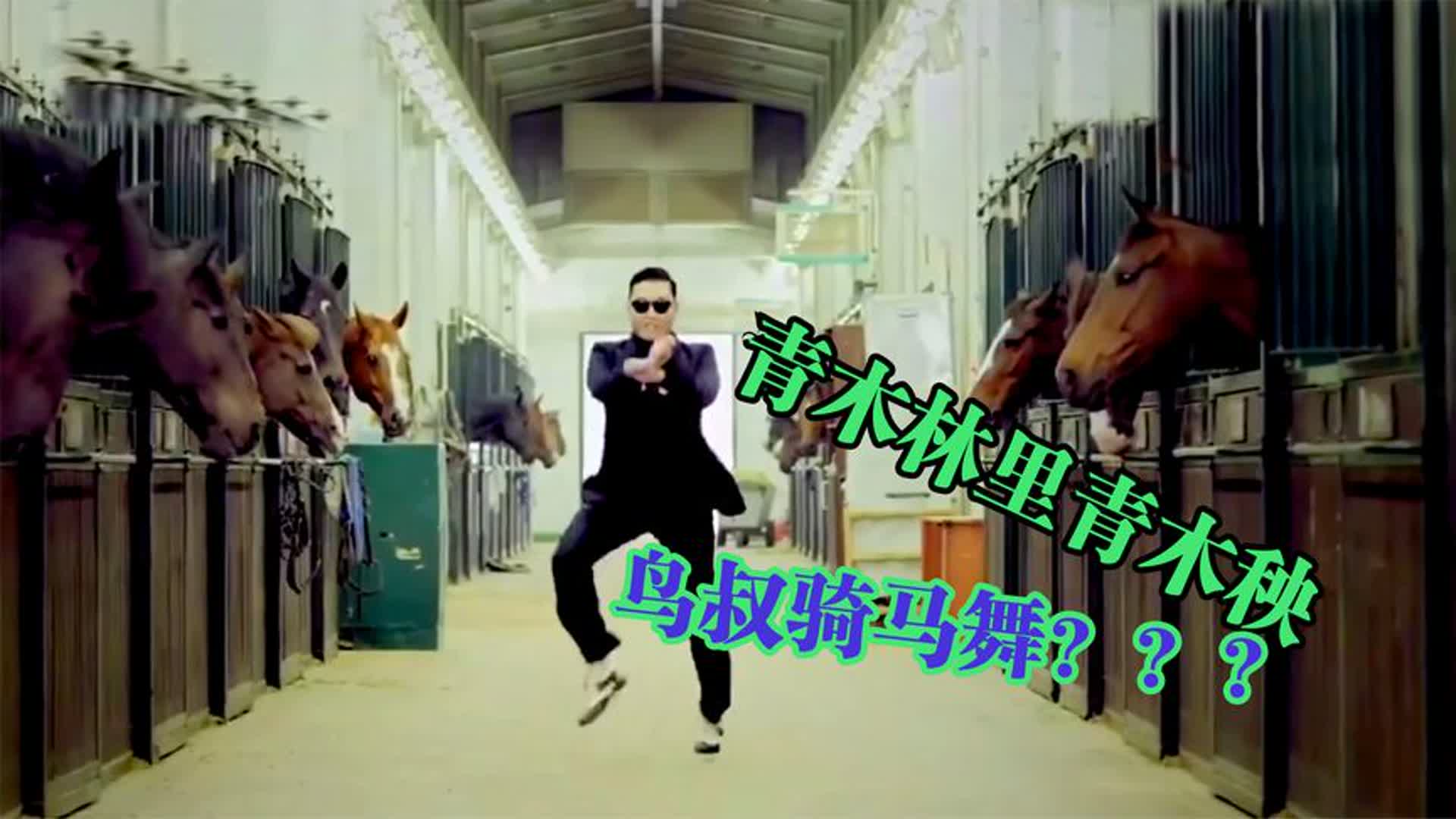 火到国外的中国洗脑神曲！配上鸟叔的骑马舞，比黑人抬棺还劲爆