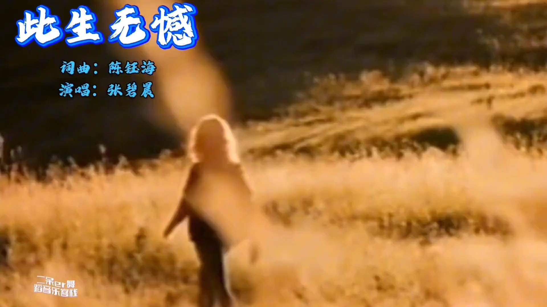 全网最火的歌《此生无憾》，张碧晨深情演唱，搭配舞蹈丁香