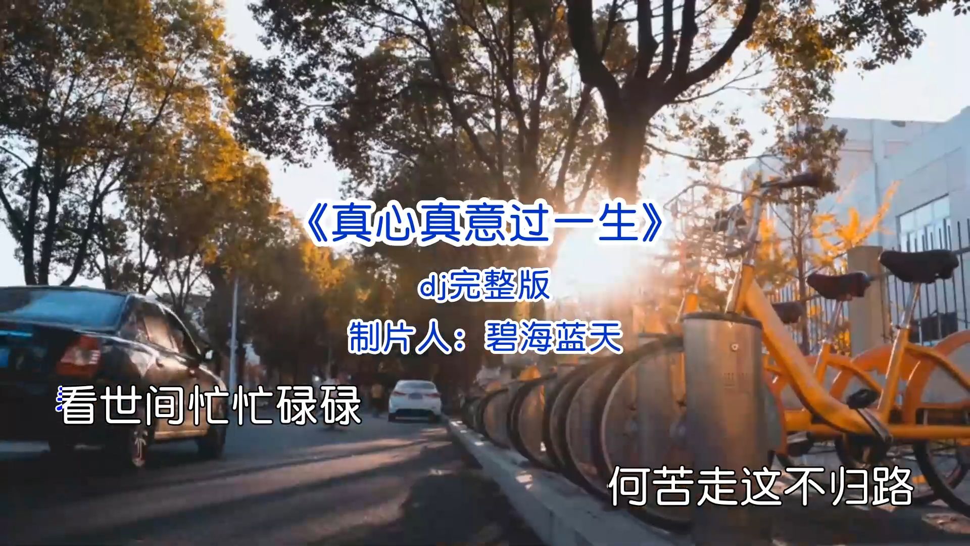 经典歌曲《真心真意过一生》叶倩文（dj完整版）