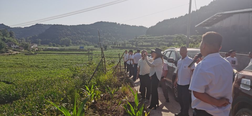 破茧成蝶后怎样绽放？南充嘉陵的龙蟠这个动作背后包裹着啥名堂…休闲区蓝鸢梦想 - Www.slyday.coM