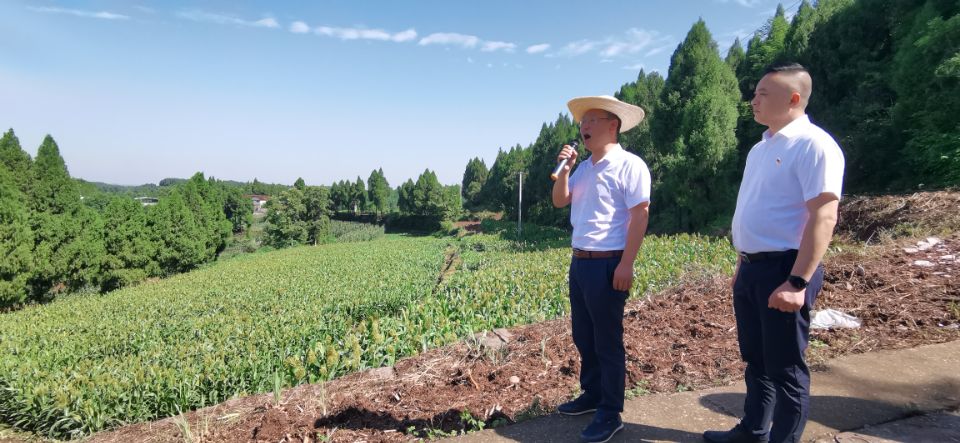 破茧成蝶后怎样绽放？南充嘉陵的龙蟠这个动作背后包裹着啥名堂…休闲区蓝鸢梦想 - Www.slyday.coM