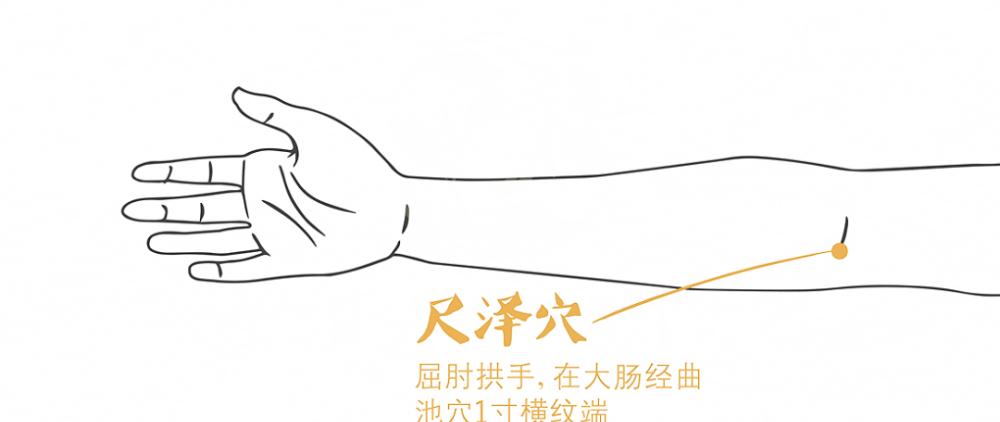 【园e 豆知识】进入三伏天,要多拍拍这五个地方,为什么呢|肘窝|腘窝