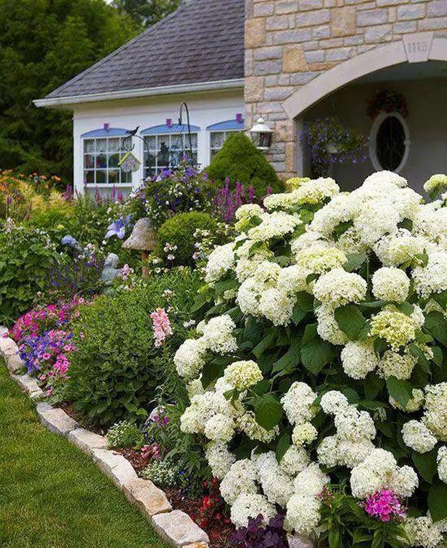 我想有一所房子,庭前栽花,屋后种树|染眉|花屋|落英_新浪新闻
