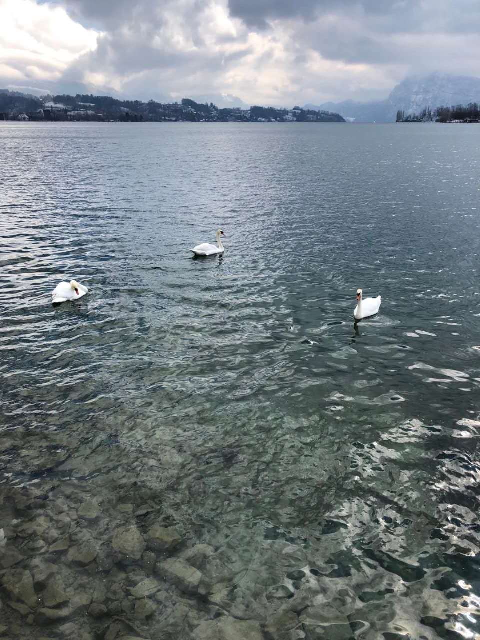 引导互联网平台调整服务费率，14部门发通知释放了什么信号？