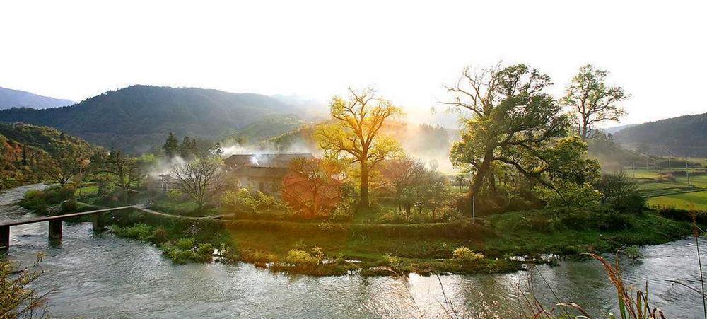 苍天有泪玉生烟 / 赵寅辰