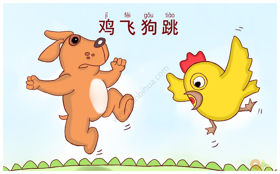 鸡狗不同笼?鸡却一脸淡定!这背后到底隐藏多少不为人知的秘密!