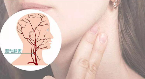 这个特殊的部位在人的耳垂下方,喉结上方,颈部两侧,叫做颈动脉窦,是