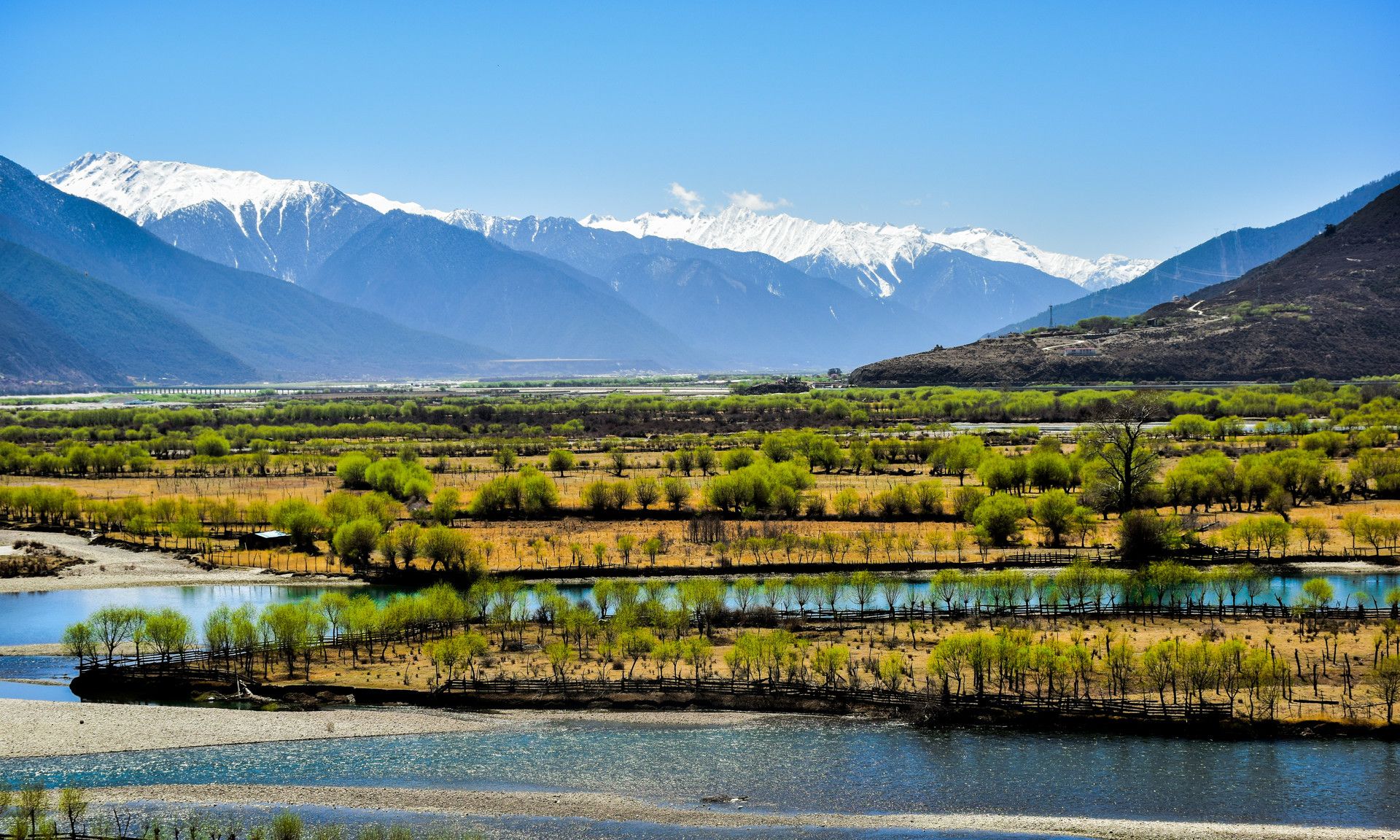 林芝的桃花谢了,但尼洋河却是最美的时候!