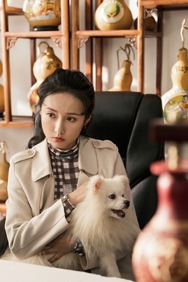 《按下葫芦起来梨》热映 杨志刚,吕一联手"脱贫攻坚"