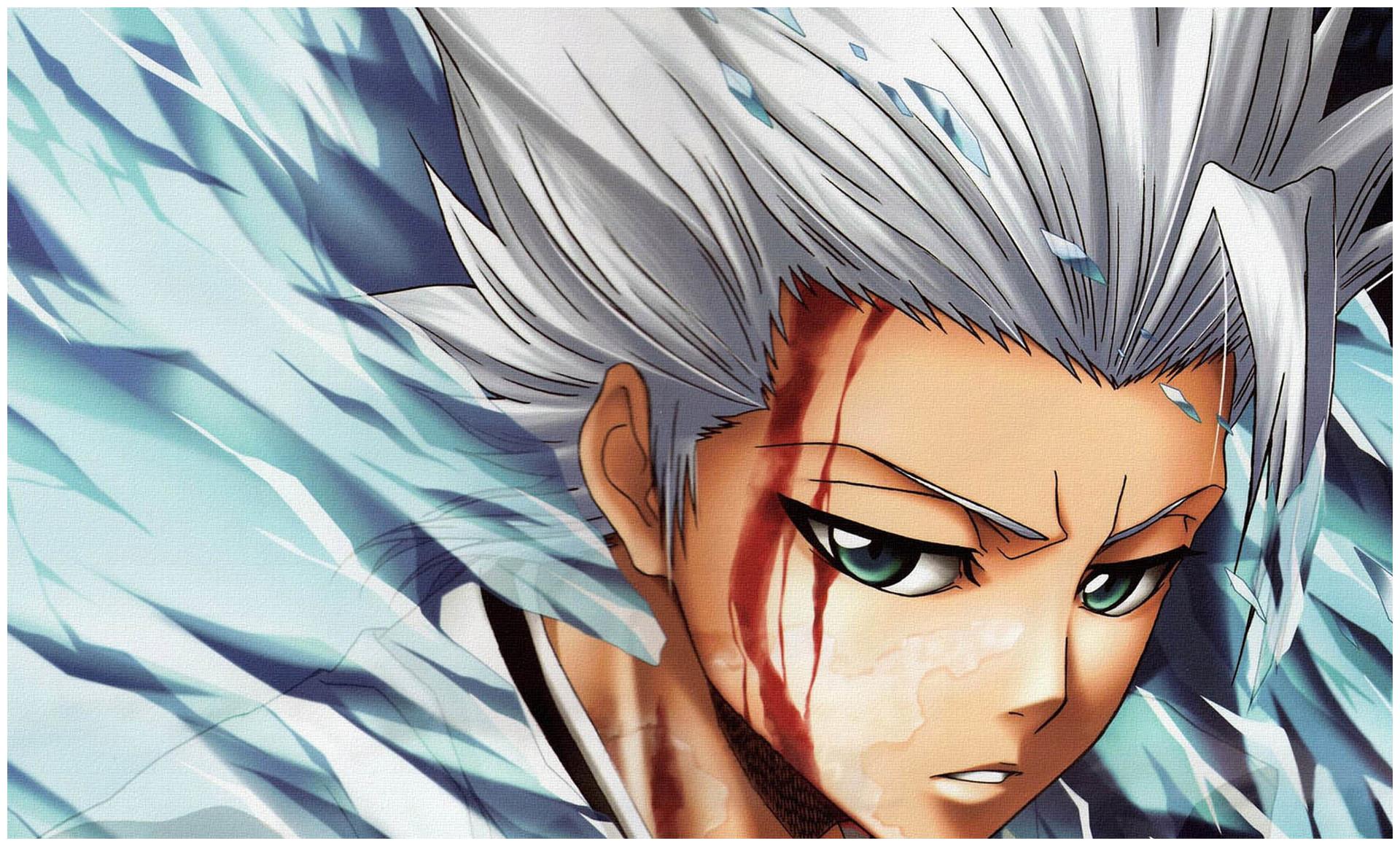 死神人物传记之最强冰雪系天才少年冬狮郎