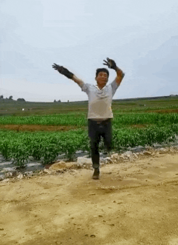 这个跳孔雀舞的农民大叔火了!网友:被种地耽误的灵魂舞者