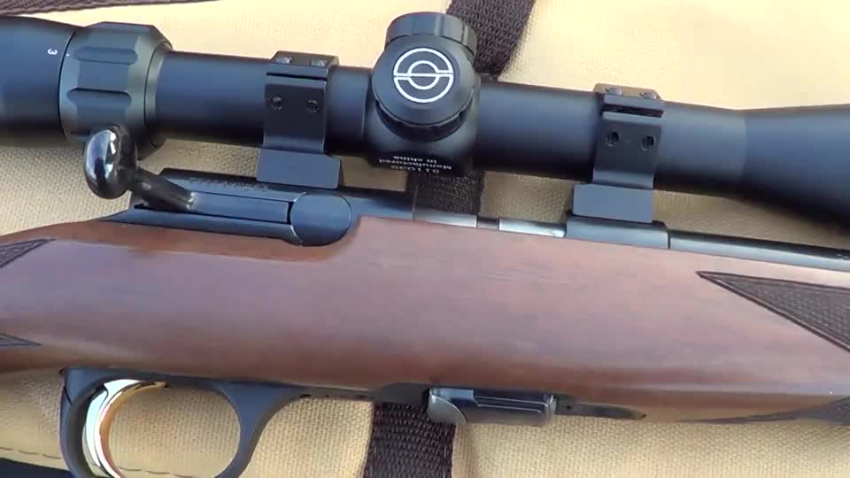 勃朗宁22lr小口径步枪,弹匣加弹,靶场射击测试