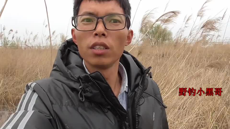 野钓打了窝下雨了用七星漂钓下试试吧