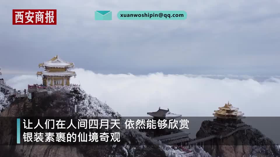 绝美 河南老君山清明假期四月飞雪 山下春花烂漫山上雪花飞舞