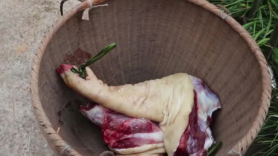 走进湖南农村杀猪,三百斤的大肥猪,7个大男人才将它拿下