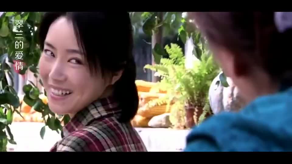 翠兰的爱情二婶给翠兰找对象翠兰几句把二婶惹生气有戏看了