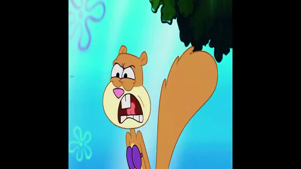 海绵宝宝:辛迪最讨厌猫了