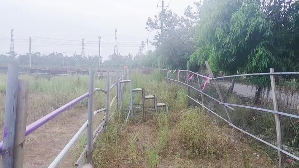 骑行的鸵鸟长啥样？骑行的场地有哪些东西，带你看看骑行的场地