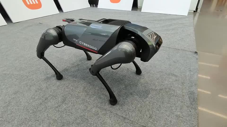 实拍万元的小米铁蛋仿生四足机器狗打滚翻身还卖萌